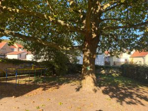 Klettergerüst Kita Eimsheim